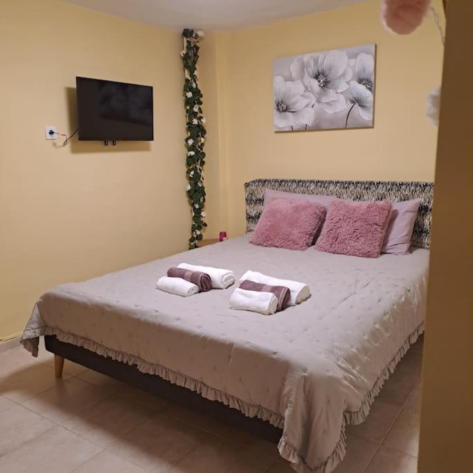 Zenia Home 1 Στην Καρδιά Της Πάτρας מראה חיצוני תמונה